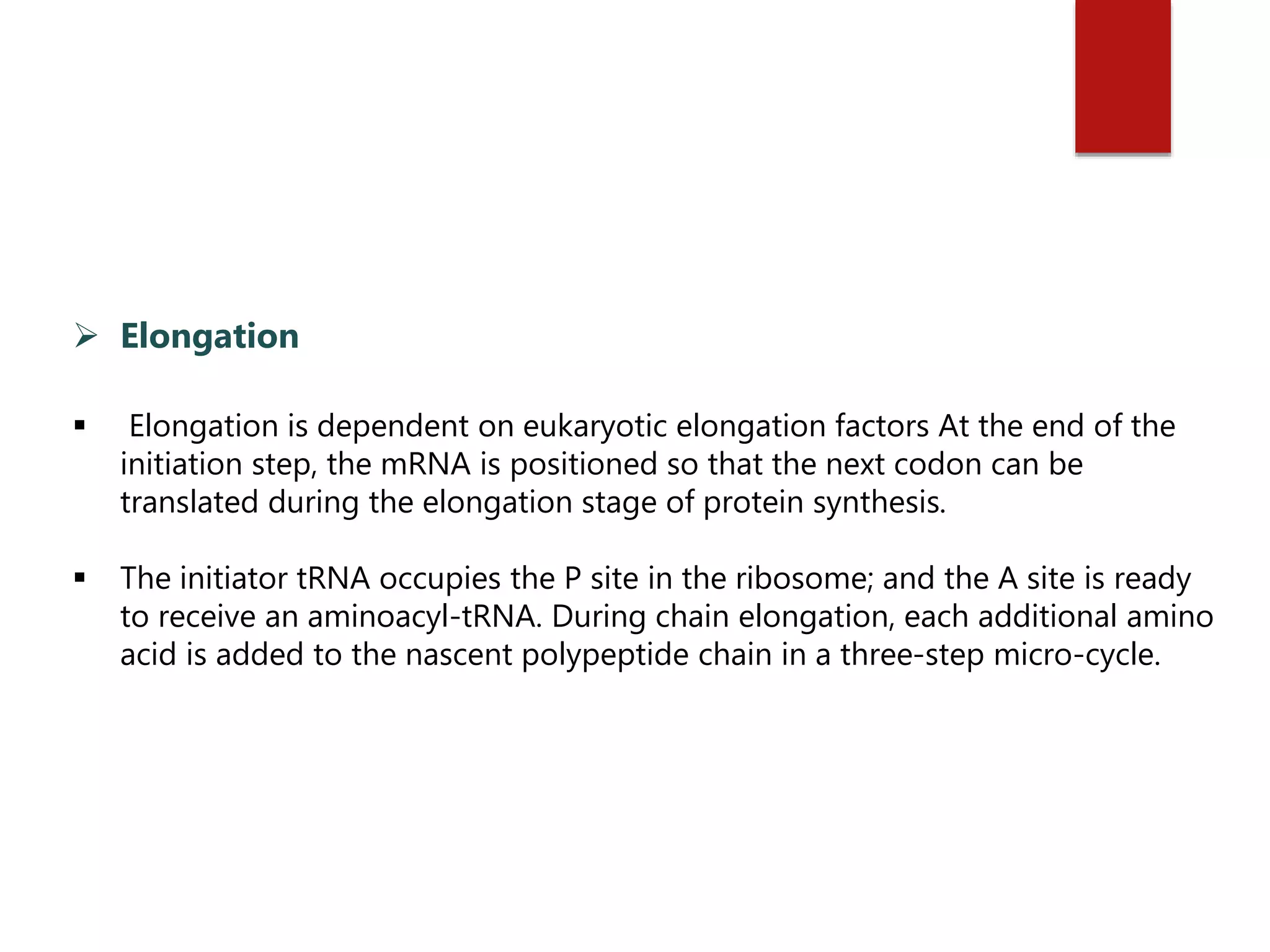  Elongation is dependent on eukaryotic elongation factors At the end of the
initiation step, the mRNA is positioned so that the next codon can be
translated during the elongation stage of protein synthesis.
 The initiator tRNA occupies the P site in the ribosome; and the A site is ready
to receive an aminoacyl-tRNA. During chain elongation, each additional amino
acid is added to the nascent polypeptide chain in a three-step micro-cycle.
 Elongation
 