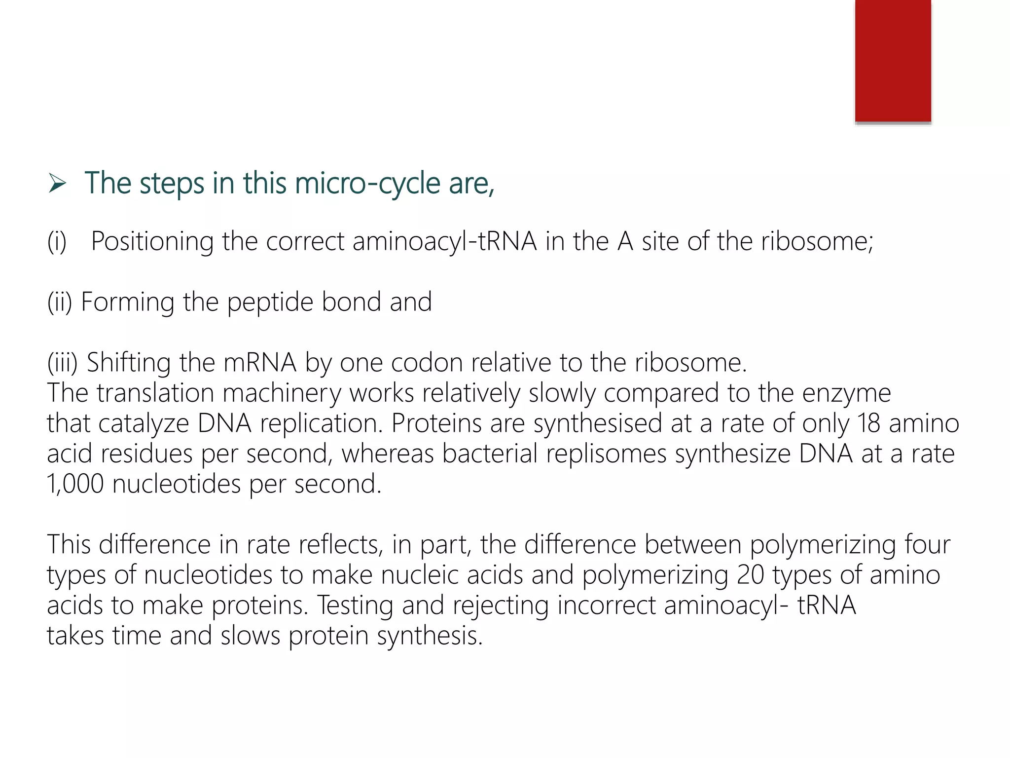  The steps in this micro-cycle are,
(i) Positioning the correct aminoacyl-tRNA in the A site of the ribosome;
(ii) Forming the peptide bond and
(iii) Shifting the mRNA by one codon relative to the ribosome.
The translation machinery works relatively slowly compared to the enzyme
that catalyze DNA replication. Proteins are synthesised at a rate of only 18 amino
acid residues per second, whereas bacterial replisomes synthesize DNA at a rate
1,000 nucleotides per second.
This difference in rate reflects, in part, the difference between polymerizing four
types of nucleotides to make nucleic acids and polymerizing 20 types of amino
acids to make proteins. Testing and rejecting incorrect aminoacyl- tRNA
takes time and slows protein synthesis.
 