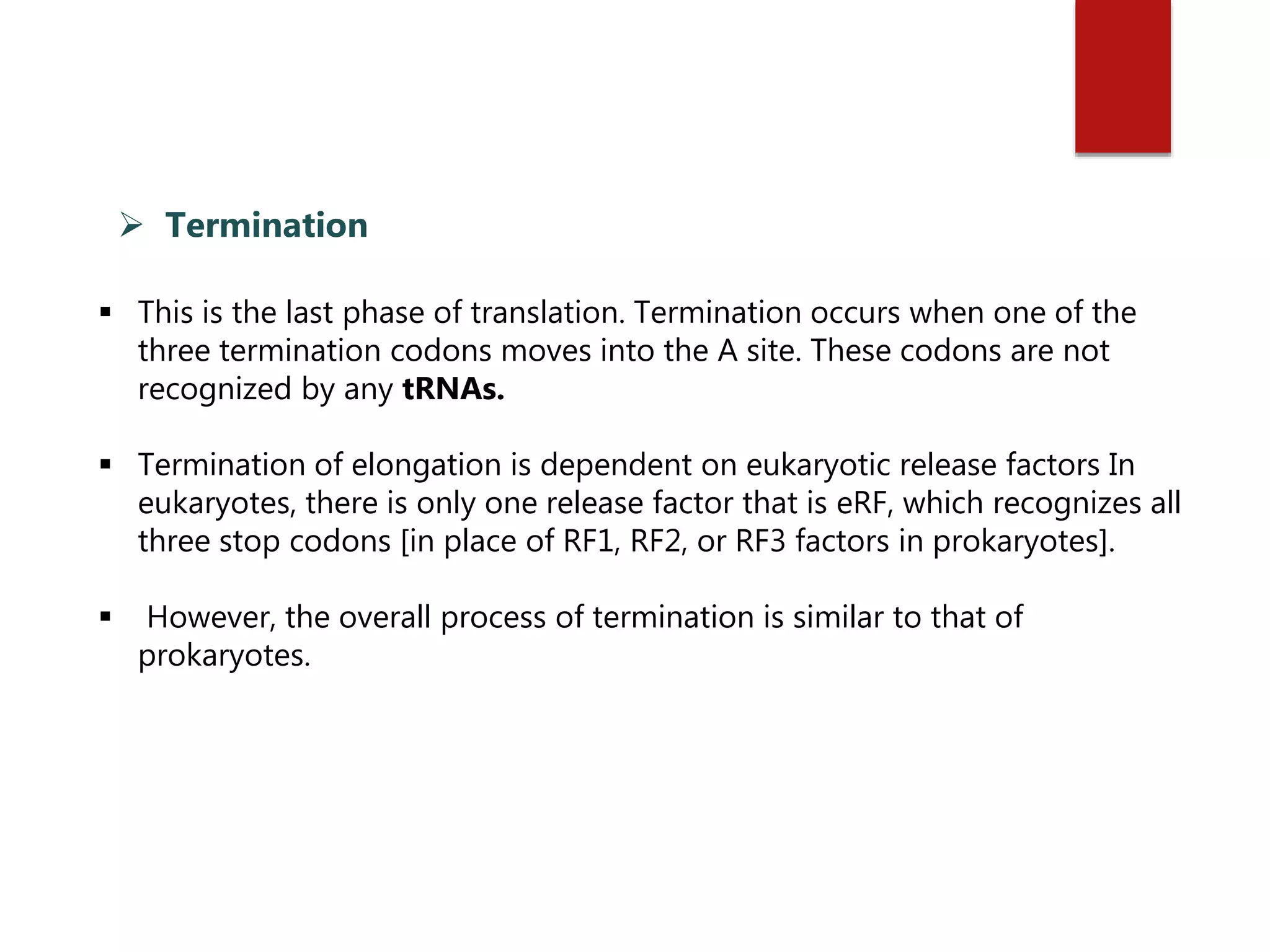  This is the last phase of translation. Termination occurs when one of the
three termination codons moves into the A site. These codons are not
recognized by any tRNAs.
 Termination of elongation is dependent on eukaryotic release factors In
eukaryotes, there is only one release factor that is eRF, which recognizes all
three stop codons [in place of RF1, RF2, or RF3 factors in prokaryotes].
 However, the overall process of termination is similar to that of
prokaryotes.
 Termination
 