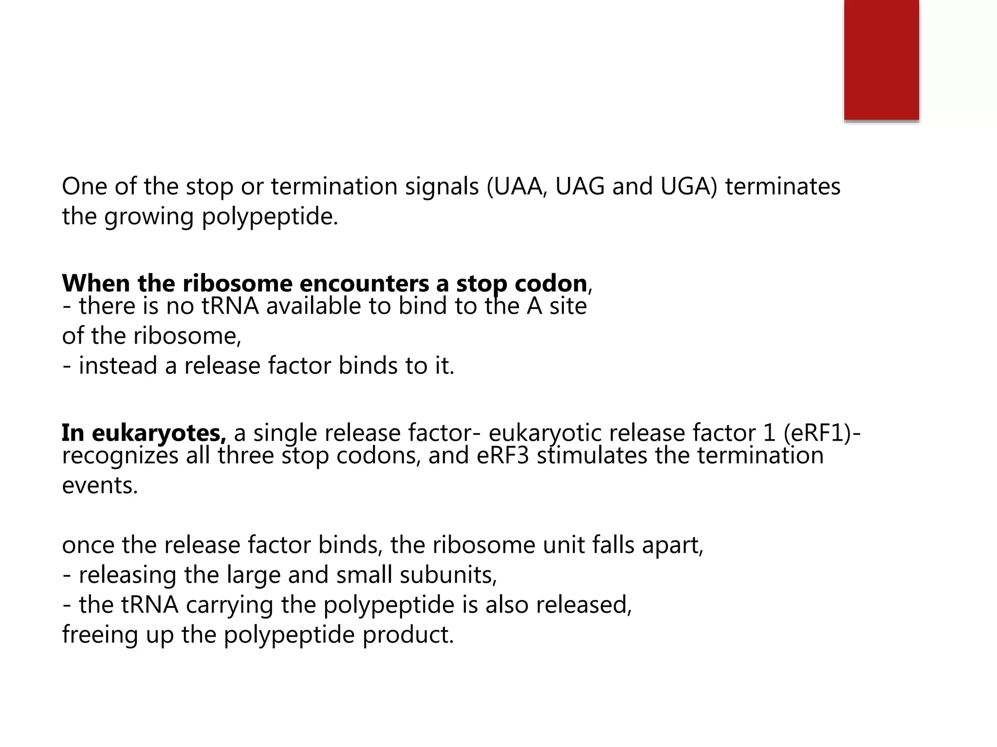 One of the stop or termination signals (UAA, UAG and UGA) terminates
the growing polypeptide.
When the ribosome encounters a stop codon,
- there is no tRNA available to bind to the A site
of the ribosome,
- instead a release factor binds to it.
In eukaryotes, a single release factor- eukaryotic release factor 1 (eRF1)-
recognizes all three stop codons, and eRF3 stimulates the termination
events.
once the release factor binds, the ribosome unit falls apart,
- releasing the large and small subunits,
- the tRNA carrying the polypeptide is also released,
freeing up the polypeptide product.
 