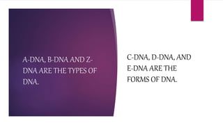 C-DNA, D-DNA, AND
E-DNA ARE THE
FORMS OF DNA.
A-DNA, B-DNA AND Z-
DNA ARE THE TYPES OF
DNA.
 