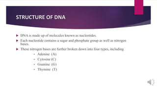 STRUCTURE OF DNA
 DNA is made up of molecules known as nucleotides.
 Each nucleotide contains a sugar and phosphate group as well as nitrogen
bases.
 These nitrogen bases are further broken down into four types, including
• Adenine (A)
• Cytosine (C)
• Guanine (G)
• Thymine (T)
 