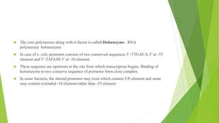 ,
 The core polymerase along with σ-factor is called Holoenzyme . RNA
polymerase holoenzyme.
 In case of e. coli, promotor consists of two conserved sequences 5’-TTGACA-3’ at -35
element and 5’-TATAAT-3’ at -10 element.
 These sequence are upstream to the site from which transcription begins. Binding of
holoenzyme to two conserve sequence of promotor form close complex.
 In some bacteria, the altered promotor may exist which contain UP-element and some
may contain extended -10 element rather than -35 element
 