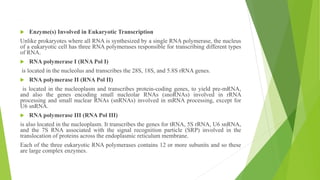 ,
 Enzyme(s) Involved in Eukaryotic Transcription
Unlike prokaryotes where all RNA is synthesized by a single RNA polymerase, the nucleus
of a eukaryotic cell has three RNA polymerases responsible for transcribing different types
of RNA.
 RNA polymerase I (RNA Pol I)
is located in the nucleolus and transcribes the 28S, 18S, and 5.8S rRNA genes.
 RNA polymerase II (RNA Pol II)
is located in the nucleoplasm and transcribes protein-coding genes, to yield pre-mRNA,
and also the genes encoding small nucleolar RNAs (snoRNAs) involved in rRNA
processing and small nuclear RNAs (snRNAs) involved in mRNA processing, except for
U6 snRNA.
 RNA polymerase III (RNA Pol III)
is also located in the nucleoplasm. It transcribes the genes for tRNA, 5S rRNA, U6 snRNA,
and the 7S RNA associated with the signal recognition particle (SRP) involved in the
translocation of proteins across the endoplasmic reticulum membrane.
Each of the three eukaryotic RNA polymerases contains 12 or more subunits and so these
are large complex enzymes.
 