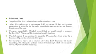 ,
 Termination Phase
 Elongation of the RNA chain continues until termination occurs.
 Unlike RNA polymerase in prokaryotes, RNA polymerase II does not terminate
transcription at a specific site but rather transcription can stop at varying distances
downstream of the gene.
 RNA genes transcribed by RNA Polymerase II lack any specific signals or sequences
that direct RNA Polymerase II to terminate at specific locations.
 RNA Polymerase II can continue to transcribe RNA anywhere from a few bp to
thousands of bp past the actual end of the gene.
 The transcript is cleaved at an internal site before RNA Polymerase II finishes
transcribing. This releases the upstream portion of the transcript, which will serve as the
initial RNA prior to further processing
 