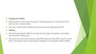.
 Capping and Tailing
 Initially at the 5′ end a cap (consisting of 7-methyl guanosine or 7 mG) and a tail of
poly A at the 3′ end are added.
 The cap is a chemically modified molecule of guanosine triphosphate (GTP).
 Splicing
 The eukaryotic primary mRNAs are made up of two types of segments; non-coding
introns and the coding exons.
 The introns are removed by a process called RNA splicing where ATP is used to cut the
RNA, releasing the introns and joining two adjacent exons to produce mature mRNA.
 