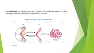 The main motive of transcription is RNA synthesis from the DNA sequence. The RNA
transcript carries the information used to encode a protein
 