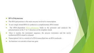,
 RNA Polymerase
 The RNA polymerase is the main enzyme involved in transcription.
 It uses single-strand DNA to synthesize a complementary RNA strand.
 The DNA-dependent RNA polymerase binds to the promoter and catalyzes the
polymerization in the 5’ to 3’ direction on the template strand.
 Once it reaches the terminator sequence, the process terminates and the newly
synthesized RNA strand is released.
 Transcription Unit is a stretch of a DNA transcribed into an RNA molecule.
 Its function is to encode at least one gene.
 