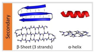 structure of protein pptx | PPTX