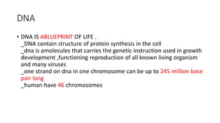 molecular biology DNA and RNA presentation | PPTX