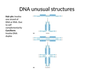 Molecular Biology and its history and techniques | PPT