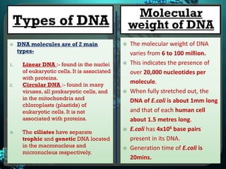  The outer surface of DNA
double helix is highly
anionic due to the
presence of large numbers
of phosphate groups,
which ...