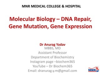 Molecular Biology – DNA Repair,
Gene Mutation, Gene Expression
Dr Anurag Yadav
MBBS, MD
Assistant Professor
Department of Biochemistry
Instagram page –biochem365
YouTube – Dr Biochem365
Email: dranurag.y.m@gmail.com
MNR MEDICAL COLLEGE & HOSPITAL
 
