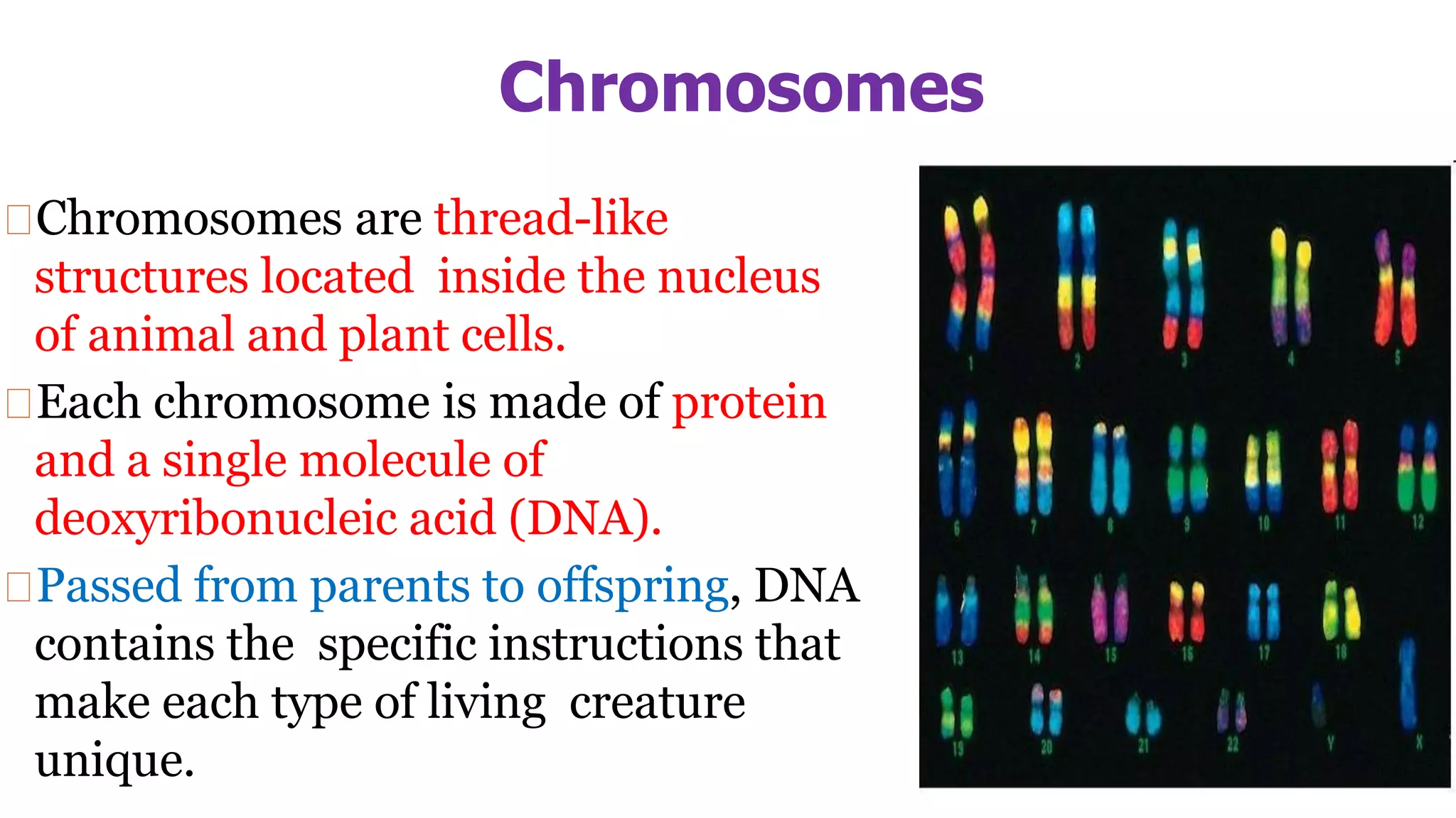 Molecular Biology-Introduction.pptx