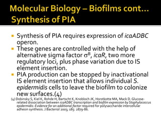    Synthesis of PIA requires expression of icaADBC
    operon.
   These genes are controlled with the help of
    alternative sigma factor B, icaR, two more
    regulatory loci, plus phase variation due to IS
    element insertion.
   PIA production can be stopped by inactivational
    IS element insertion that allows individual S.
    epidermidis cells to leave the biofilm to colonize
    new surfaces.(4)
(4) Dobinsky S, Kiel K, Rohde H, Bartscht K, Knobloch JK, Horstkotte MA, Mack D. Glucose-
    related dissociation between icaADBC transcription and biofilm expression by Staphylococcus
    epidermidis: Evidence for an additional factor required for polysaccharide intercellular
    adhesin synthesis. J Bacteriol 2003; 185: 2879-86.
 