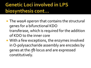   The waaA operon that contains the structural
    genes for a bifunctional KDO
    transferase, which is required for the addition
    of KDO to the inner core
   With a few exceptions, the enzymes involved
    in O-polysaccharide assembly are encodes by
    genes at the rfb locus and are expressed
    constitutively.
 