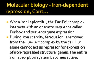    When iron is plentiful, the Fur-Fe2+ complex
    interacts with an operator sequence called
    Fur box and prevents gene expression.
   During iron scarcity, ferrous ion is removed
    from the Fur-Fe2+ complex by the cell. Fur
    alone cannot act as repressor for expression
    of iron-repressed structural genes. The entire
    iron absorption system becomes active.
 
