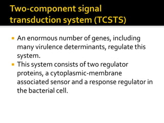    An enormous number of genes, including
    many virulence determinants, regulate this
    system.
   This system consists of two regulator
    proteins, a cytoplasmic-membrane
    associated sensor and a response regulator in
    the bacterial cell.
 