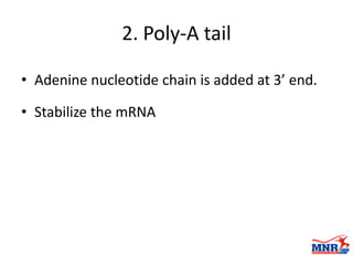 Transcription of DNA to RNA by Dr. Anurag Yadav | PDF
