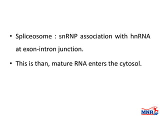 Snrp Transcription of DNA to RNA by Dr. Anurag Yadav | PDF