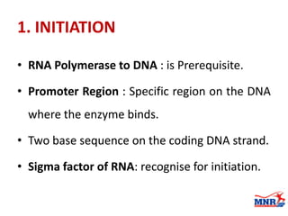 1. INITIATION
• RNA Polymerase to DNA : is Prerequisite.
• Promoter Region : Specific region on the DNA
where the enzyme binds.
• Two base sequence on the coding DNA strand.
• Sigma factor of RNA: recognise for initiation.
 