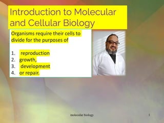 Introduction to Molecular
and Cellular Biology
Organisms require their cells to
divide for the purposes of
1. reproduction
2. growth,
3. development
4. or repair.
molecular biology 1
 