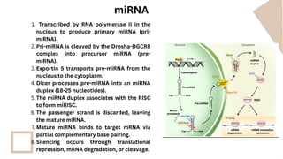 Molecular biology RNA interference mechanism application.pdf