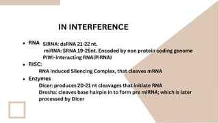 Molecular biology RNA interference mechanism application.pdf