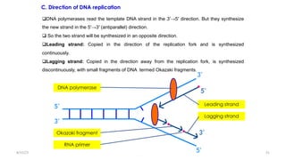 Molecular Biology | PDF