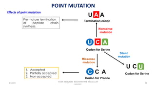 Molecular Biology | PDF
