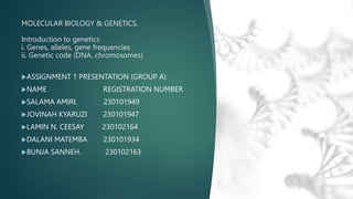 MOLECULAR BIOLOGY & GENETICS.
Introduction to genetics
i. Genes, alleles, gene frequencies
ii. Genetic code (DNA, chromosomes)
ASSIGNMENT 1 PRESENTATION (GROUP A)
NAME REGISTRATION NUMBER
SALAMA AMIRI. 230101949
JOVINAH KYARUZI 230101947
LAMIN N. CEESAY 230102164
DALANI MATEMBA 230101934
BUNJA SANNEH. 230102163
 