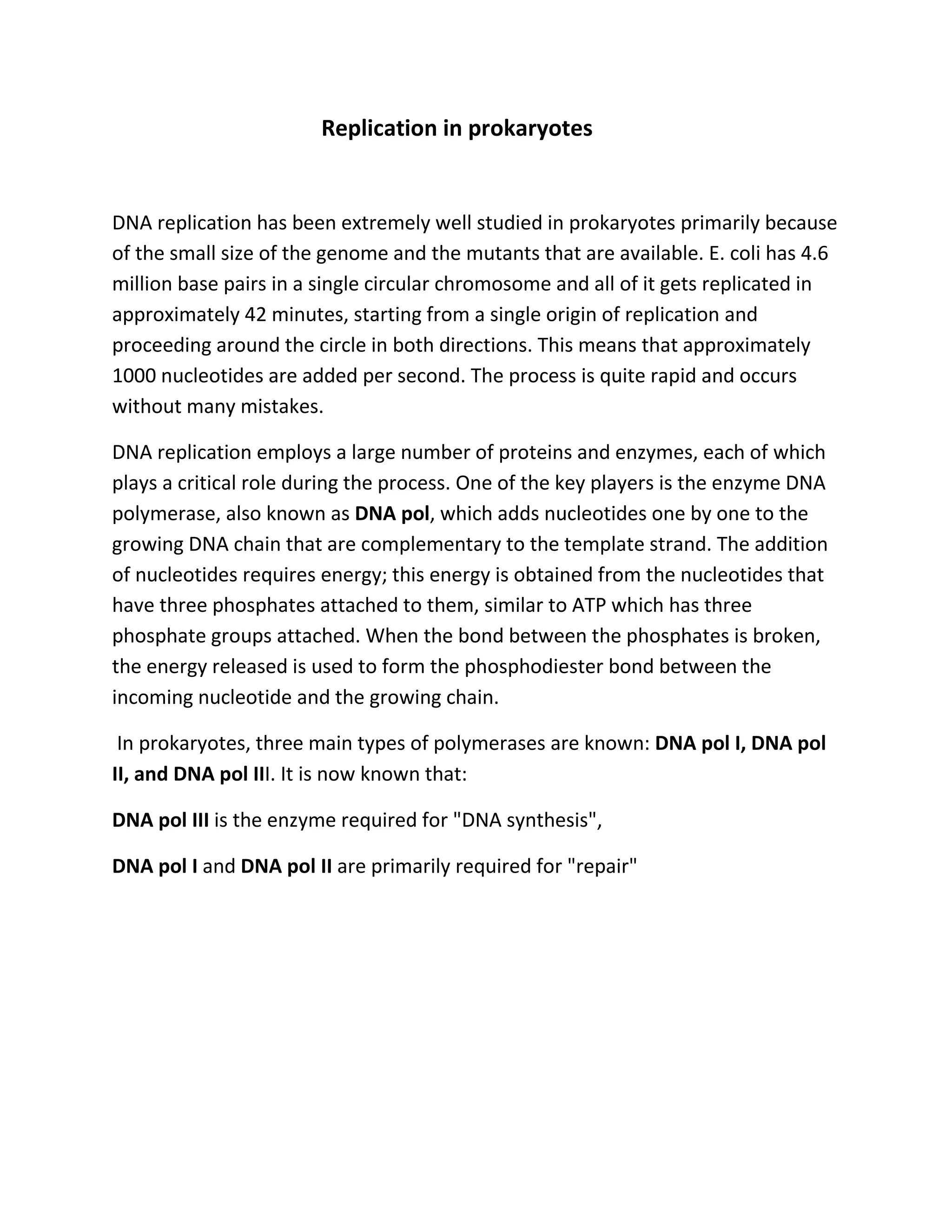 molecular biology- Replication in Prokaryotes | DOCX