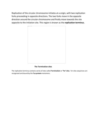 Replication of the circular chromosome initiates at a origin, with two replication
forks proceeding in opposite directions. The two forks move in the opposite
direction around the circular chromosome and finally move towards the site
opposite to the initiation site. This region is known as the replication terminus.
The Termination sites
The replication terminus contains series of sites called Termination or ‘Ter’ sites. Ter sites sequences are
recognized and bound by the Tus protein monomers.
 