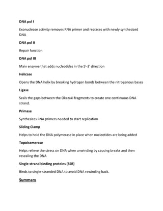DNA pol I
Exonuclease activity removes RNA primer and replaces with newly synthesized
DNA
DNA pol II
Repair function
DNA pol III
Main enzyme that adds nucleotides in the 5'-3' direction
Helicase
Opens the DNA helix by breaking hydrogen bonds between the nitrogenous bases
Ligase
Seals the gaps between the Okazaki fragments to create one continuous DNA
strand.
Primase
Synthesizes RNA primers needed to start replication
Sliding Clamp
Helps to hold the DNA polymerase in place when nucleotides are being added
Topoisomerase
Helps relieve the stress on DNA when unwinding by causing breaks and then
resealing the DNA
Single-strand binding proteins (SSB)
Binds to single-stranded DNA to avoid DNA rewinding back.
Summary
 