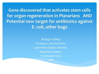 Gene discovered that activates stem cells
for organ regeneration in Planarians AND
Potential new target for antibiotics against
E. coli, other bugs
Biology Folding
Professor: Lina Martínez
Juan Pablo Ospina Sánchez
Medicine Student
III Semester 2014
UPB
 