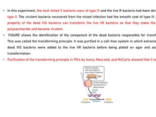 Ms Bio Chem molecular_biology_genetics_msc_biochem.pptx