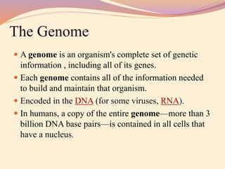 The Genome
 A genome is an organism's complete set of genetic
information , including all of its genes.
 Each genome contains all of the information needed
to build and maintain that organism.
 Encoded in the DNA (for some viruses, RNA).
 In humans, a copy of the entire genome—more than 3
billion DNA base pairs—is contained in all cells that
have a nucleus.
 