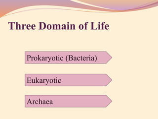 Three Domain of Life
Eukaryotic
Prokaryotic (Bacteria)
Archaea
 