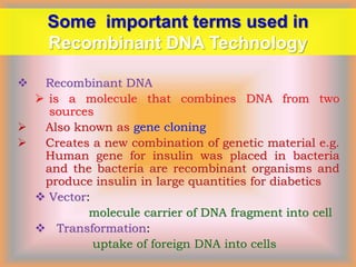 Molecular biology lecture | PPT