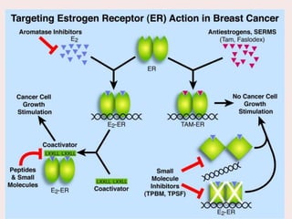Molecular biology of breast cancer and | PPTX
