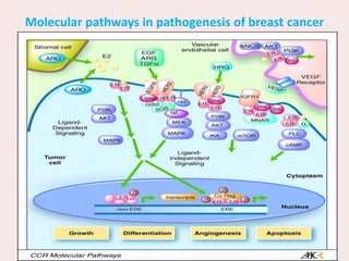 Molecular biology of breast cancer and | PPTX