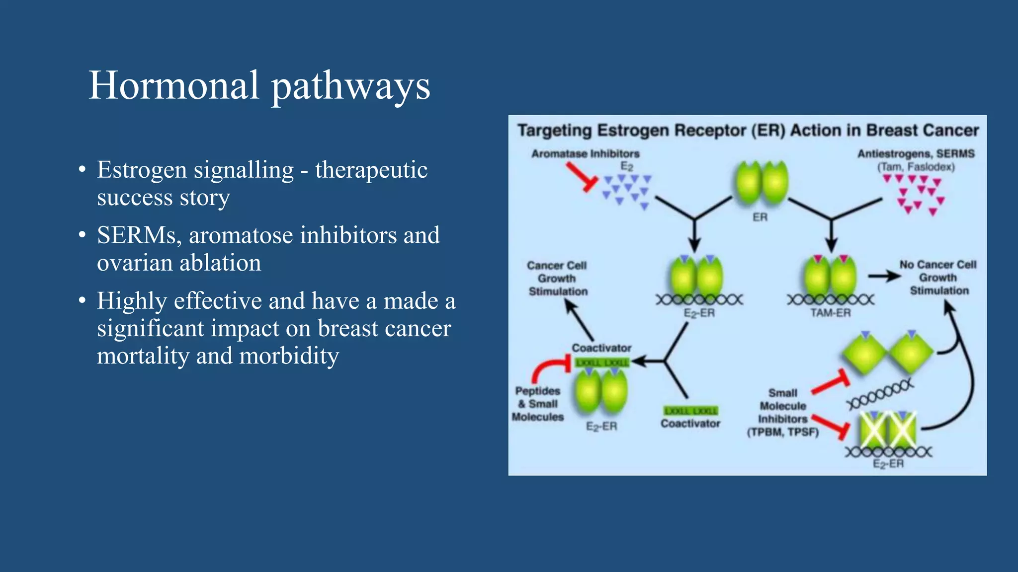 Molecular biology of breast cancer [autosaved] | PPTX