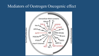 Molecular biology of breast cancer [autosaved] | PPTX
