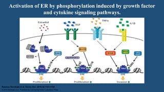 Molecular biology of breast cancer [autosaved] | PPTX