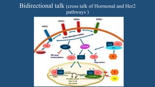 Molecular biology of breast cancer [autosaved] | PPTX