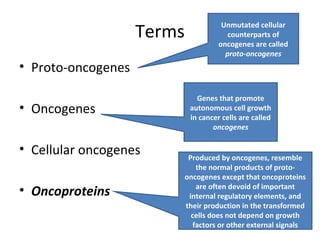 Terms
• Proto-oncogenes
• Oncogenes
• Cellular oncogenes
• Oncoproteins
Genes that promote
autonomous cell growth
in cancer cells are called
oncogenes
Unmutated cellular
counterparts of
oncogenes are called
proto-oncogenes
Produced by oncogenes, resemble
the normal products of proto-
oncogenes except that oncoproteins
are often devoid of important
internal regulatory elements, and
their production in the transformed
cells does not depend on growth
factors or other external signals
 