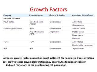 Growth Factors
Increased growth factor production is not sufficient for neoplastic transformation
But, growth factor driven proliferation may contributes to spontaneous or
induced mutations in the proliferating cell population
 