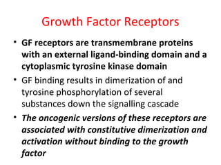 Growth Factor Receptors
• GF receptors are transmembrane proteins
with an external ligand-binding domain and a
cytoplasmic tyrosine kinase domain
• GF binding results in dimerization of and
tyrosine phosphorylation of several
substances down the signalling cascade
• The oncogenic versions of these receptors are
associated with constitutive dimerization and
activation without binding to the growth
factor
 