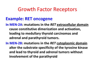 Growth Factor Receptors
Example: RET oncogene
In MEN-2A: mutations in the RET extracellular domain
cause constitutive dimerization and activation,
leading to medullary thyroid carcinomas and
adrenal and parathyroid tumors.
In MEN-2B: mutations in the RET cytoplasmic domain
alter the substrate specificity of the tyrosine kinase
and lead to thyroid and adrenal tumors without
involvement of the parathyroid
 