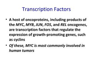 Transcription Factors
• A host of oncoproteins, including products of
the MYC, MYB, JUN, FOS, and REL oncogenes,
are transcription factors that regulate the
expression of growth-promoting genes, such
as cyclins
• Of these, MYC is most commonly involved in
human tumors
 